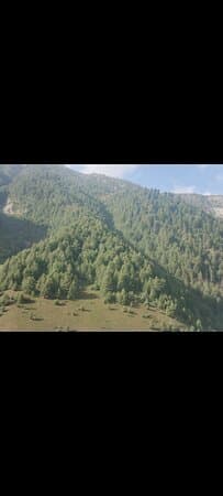 Gulmarg