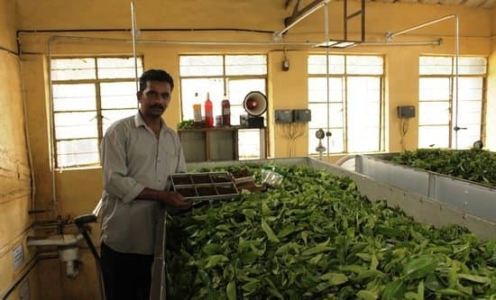 Kannan Devan Tea Museum