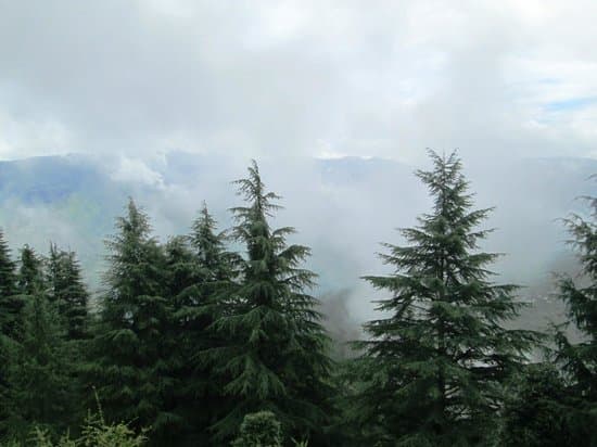 Lal Tibba Scenic Point