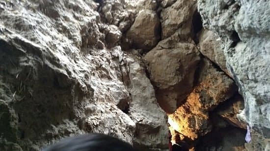 Eco Cave Gardens
